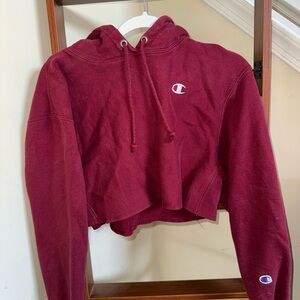 Champion Reverse Weave Hoodie in Deep Wine